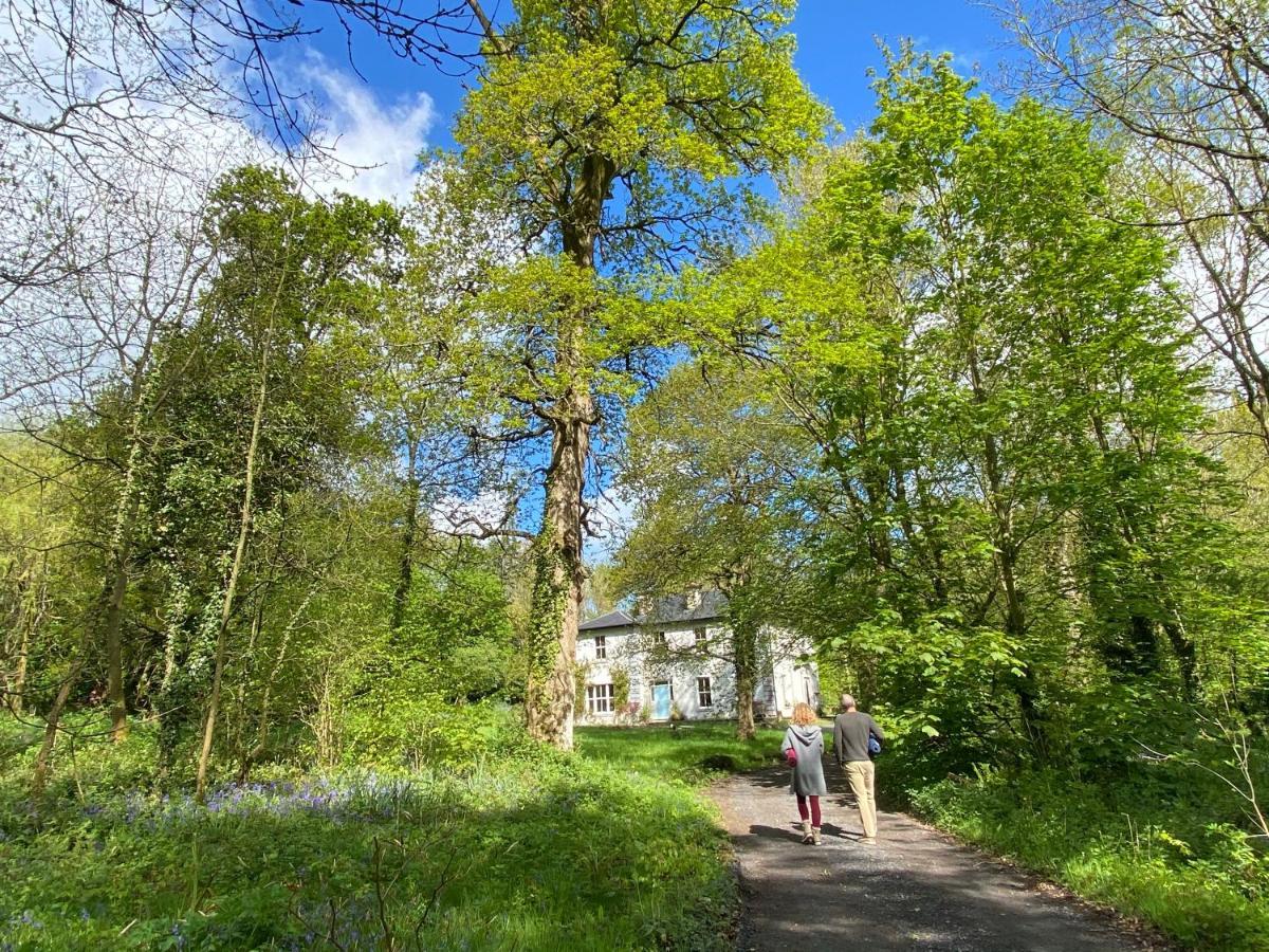 Blackhill Woods Retreat 阿比莱克斯 外观 照片