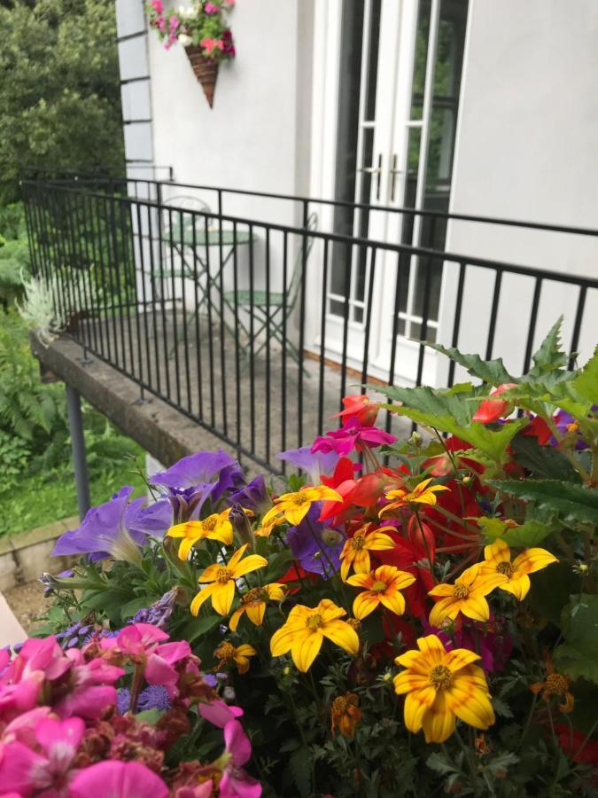 Blackhill Woods Retreat 阿比莱克斯 外观 照片